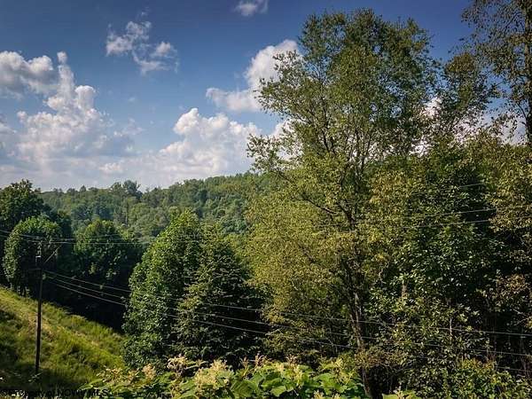 2.3 Acres of Land for Sale in Tunnelton, West Virginia