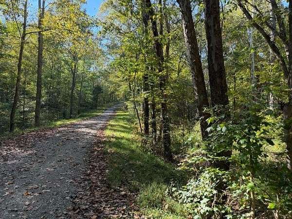 10 Acres of Land for Sale in Morgantown, Kentucky