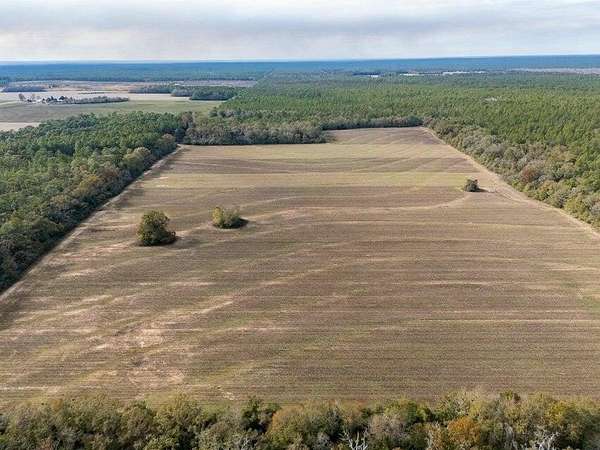 79.3 Acres of Recreational & Residential Land for Sale in Baker, Florida