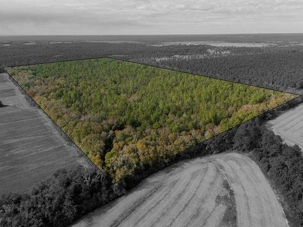 79.3 Acres of Recreational & Residential Land for Sale in Baker, Florida