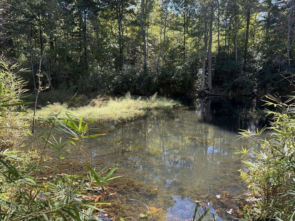 20 Acres of Recreational & Residential Land for Sale in Belton, South Carolina