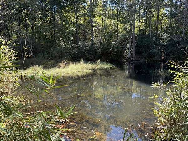 20 Acres of Recreational & Residential Land for Sale in Belton, South Carolina