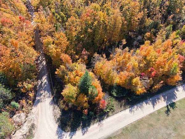 2.8 Acres of Residential Land for Sale in Vanderbilt, Michigan