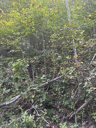 1.44 Acres of Residential Land for Sale in Sharps Chapel, Tennessee