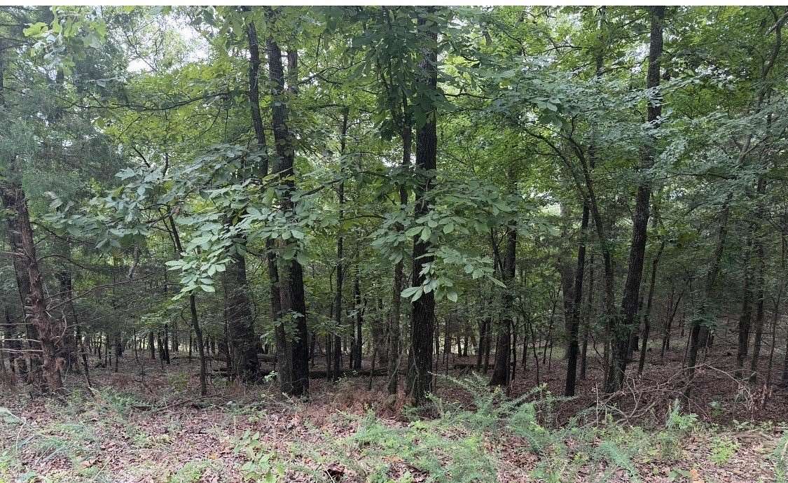 0.28 Acres of Residential Land for Sale in Bella Vista, Arkansas