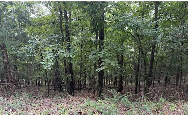 0.28 Acres of Residential Land for Sale in Bella Vista, Arkansas