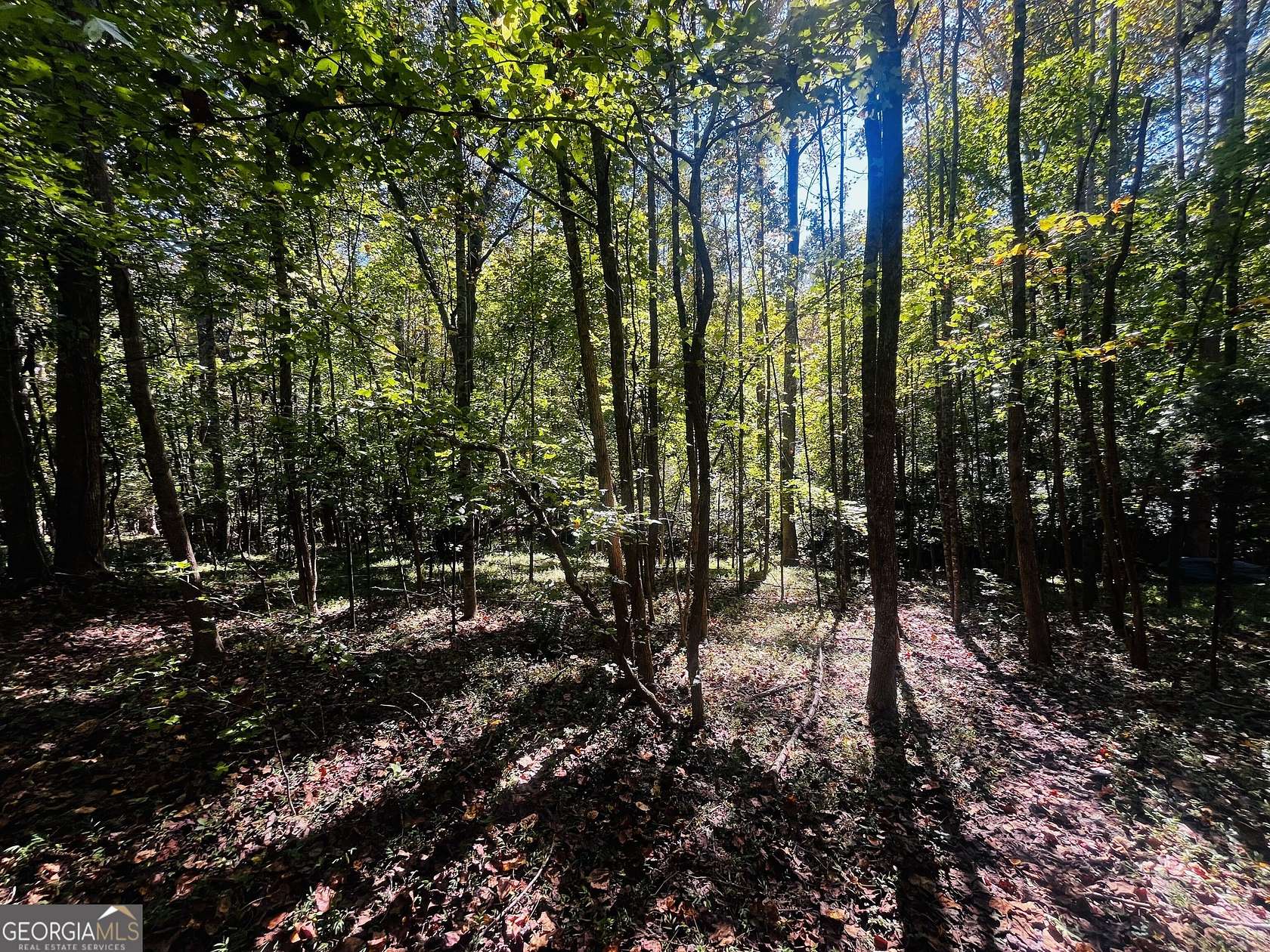 2 Acres of Residential Land for Sale in Baldwin, Georgia