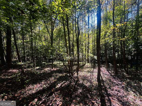 2 Acres of Residential Land for Sale in Baldwin, Georgia