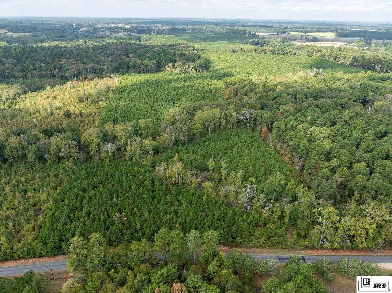 65.4 Acres of Recreational & Residential Land for Sale in Choudrant, Louisiana