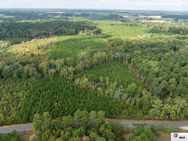 65.4 Acres of Recreational & Residential Land for Sale in Choudrant, Louisiana