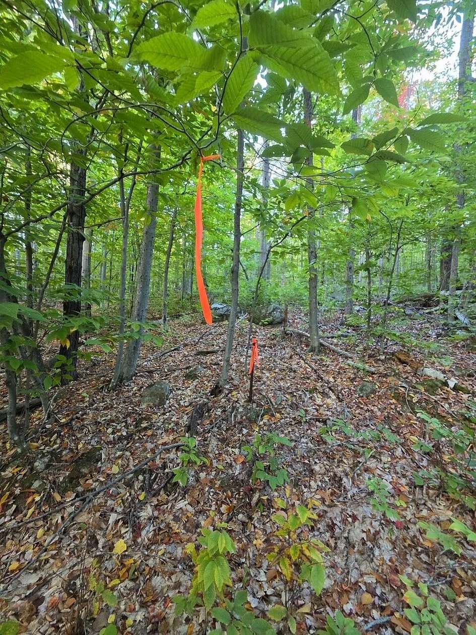 1.84 Acres of Residential Land for Sale in Hiram, Maine