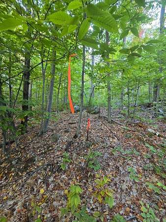 1.84 Acres of Residential Land for Sale in Hiram, Maine