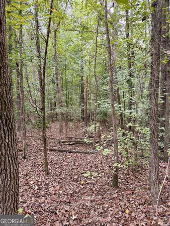 10.6 Acres of Land for Sale in Homer, Georgia