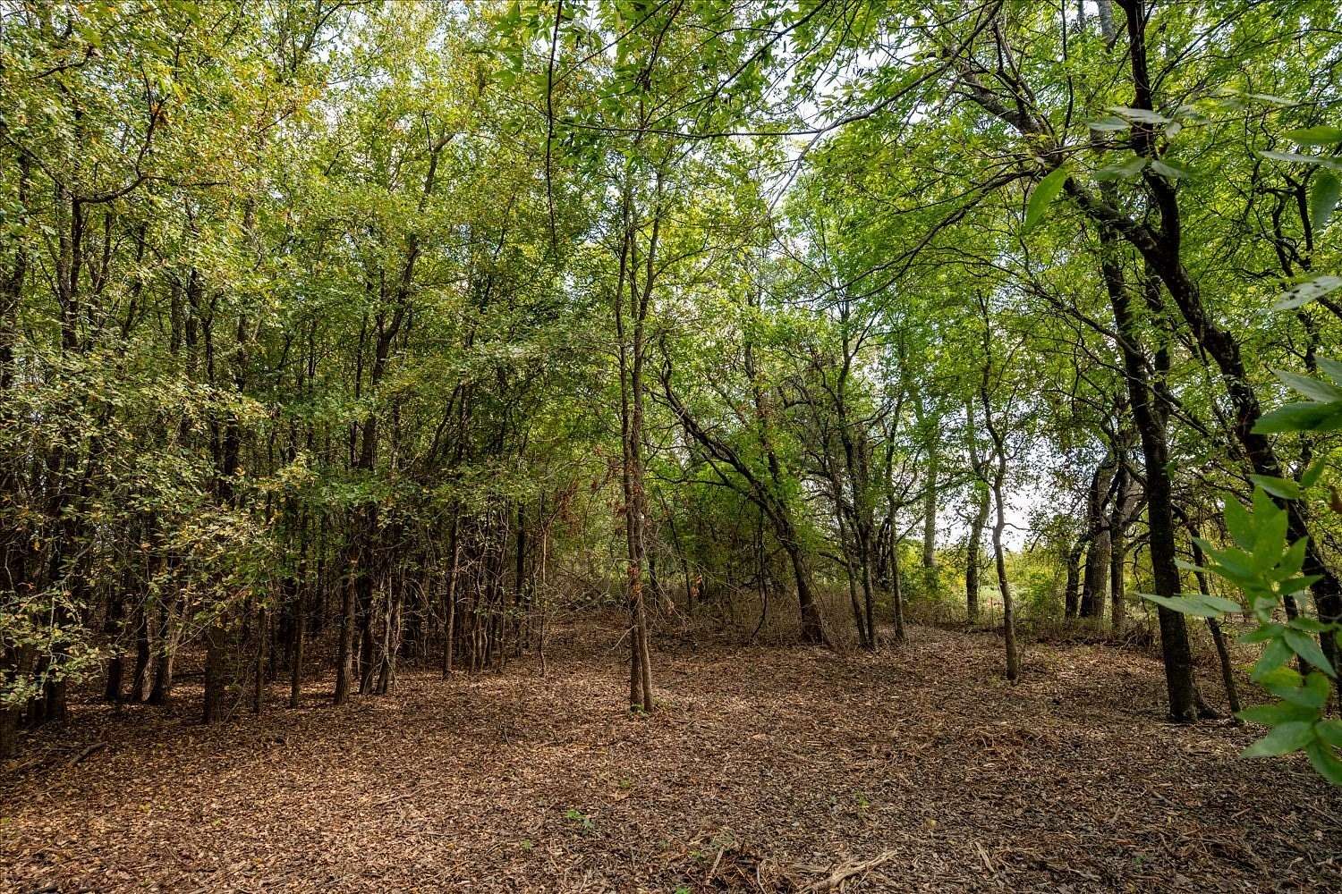 2 Acres of Mixed-Use Land for Sale in Anna, Texas