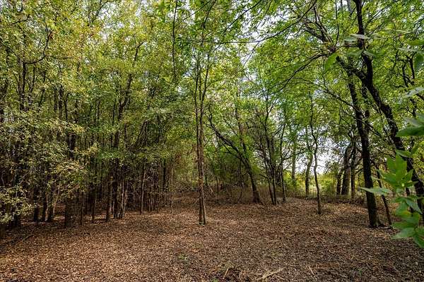 2 Acres of Mixed-Use Land for Sale in Anna, Texas