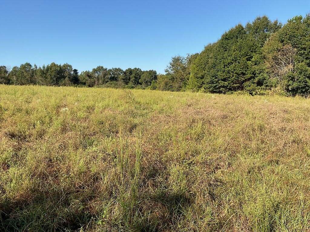 94.9 Acres of Recreational Land for Sale in Dozier, Alabama