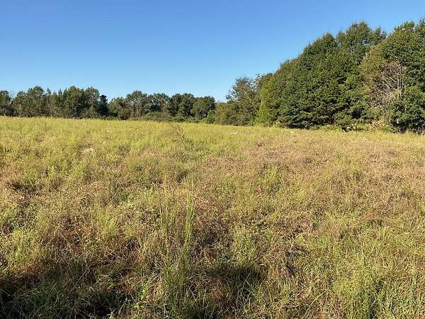 94.9 Acres of Recreational Land for Sale in Dozier, Alabama