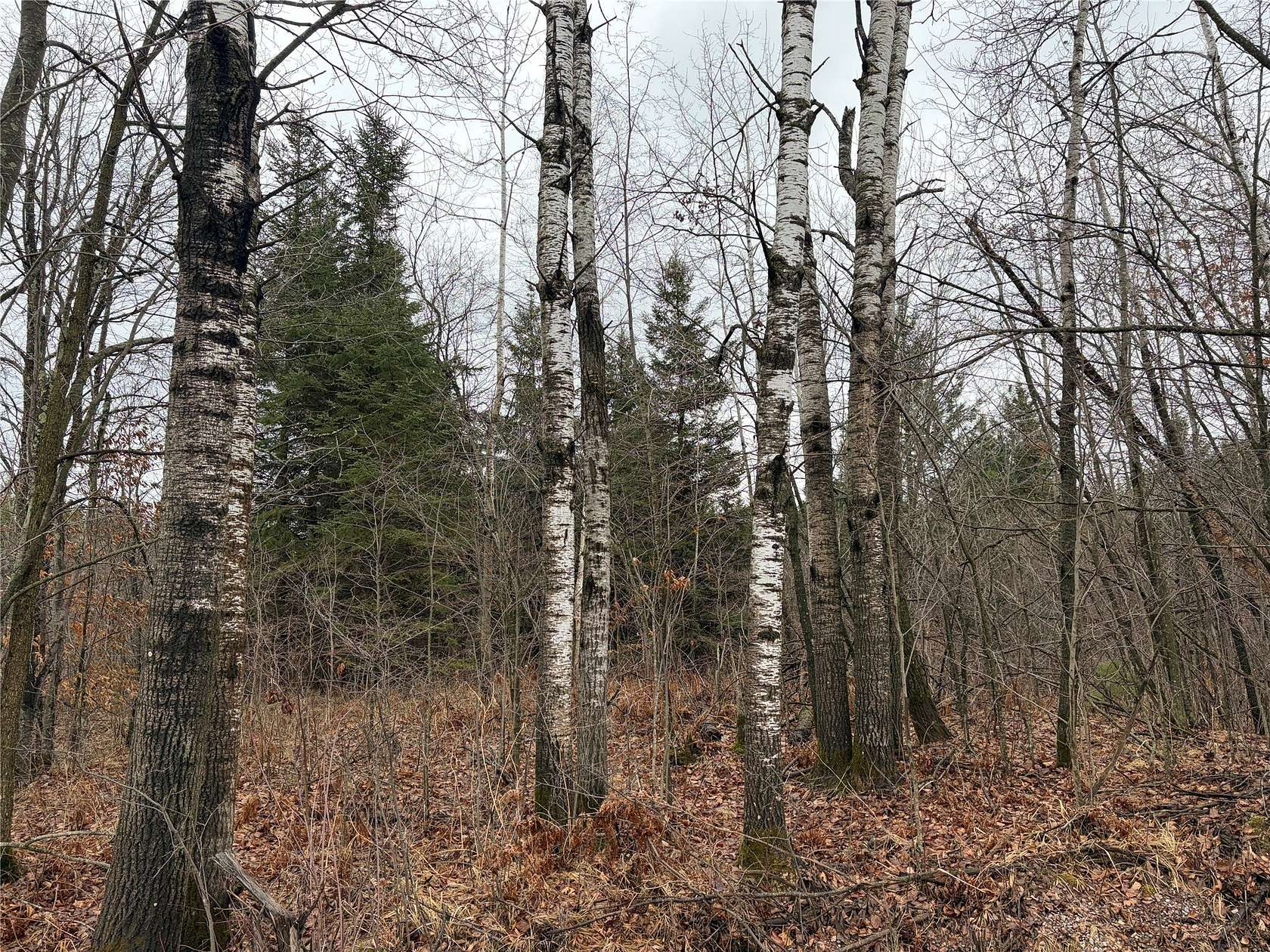 200 Acres of Recreational Land for Sale in Ladysmith, Wisconsin