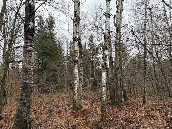 200 Acres of Recreational Land for Sale in Ladysmith, Wisconsin