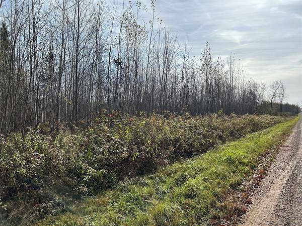 200 Acres of Recreational & Residential Land for Sale in Ladysmith, Wisconsin