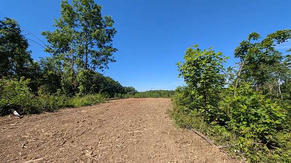21.3 Acres of Recreational & Residential Land for Sale in South Bloomingville, Ohio