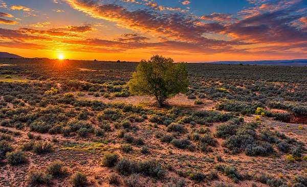 2.5 Acres of Residential Land for Sale in Ranchos de Taos, New Mexico