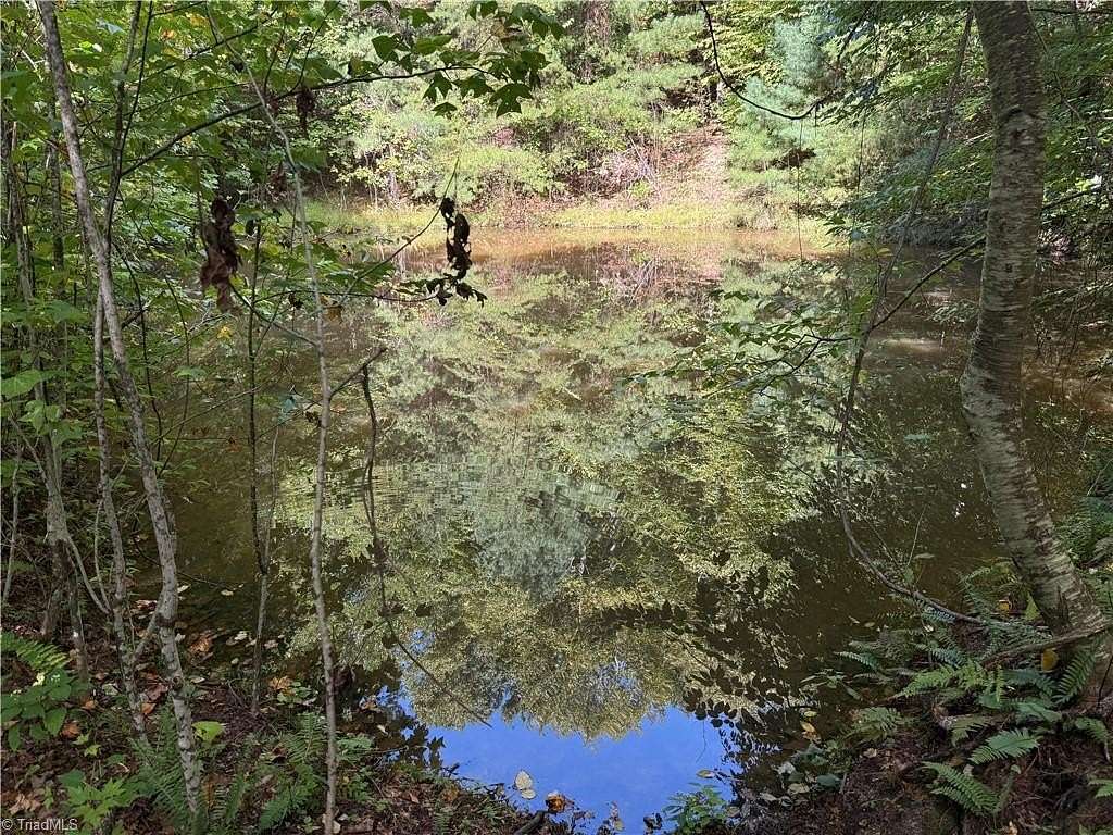 10.6 Acres of Recreational & Residential Land for Sale in Purlear, North Carolina