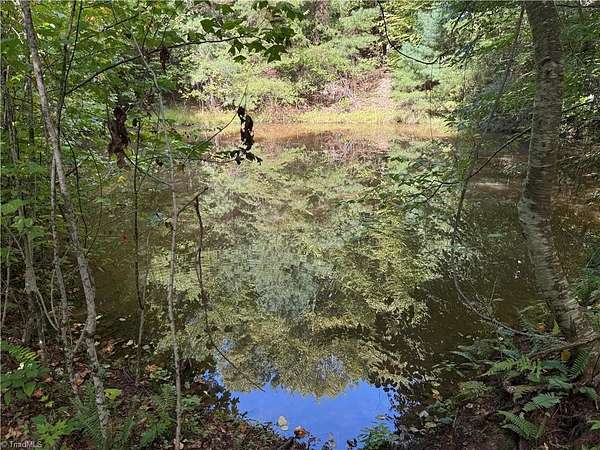 10.6 Acres of Recreational & Residential Land for Sale in Purlear, North Carolina