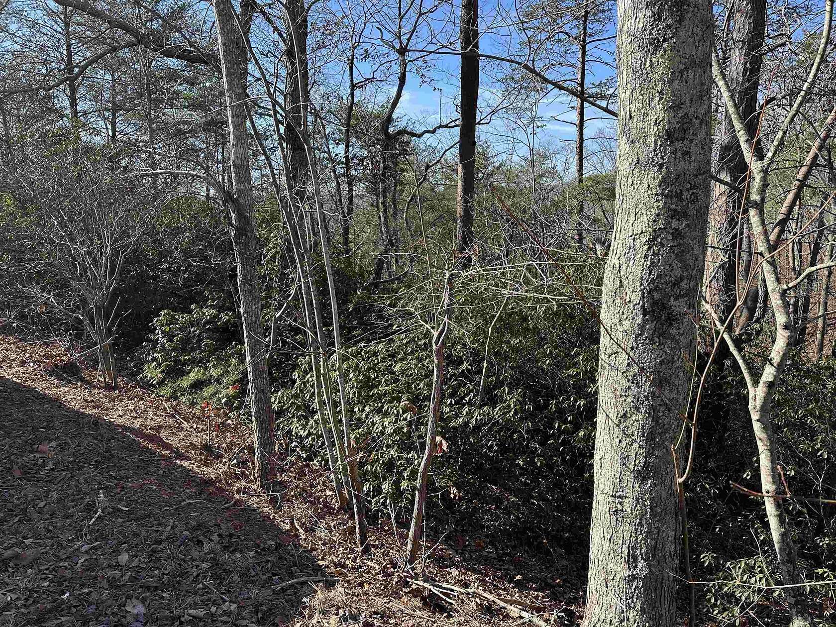 0.9 Acres of Land for Sale in Landrum, South Carolina