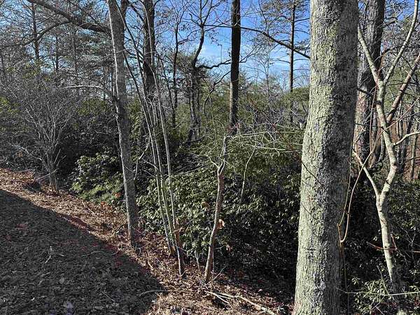 0.9 Acres of Land for Sale in Landrum, South Carolina