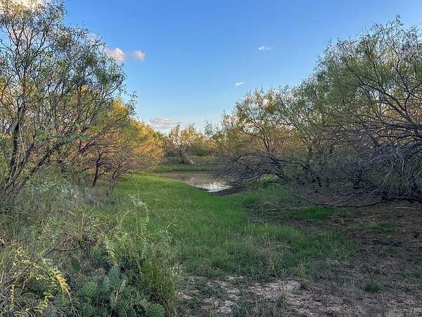 100 Acres of Land for Sale in Mason, Texas