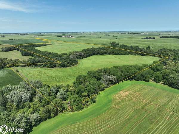 98 Acres of Land for Sale in Greeley, Iowa