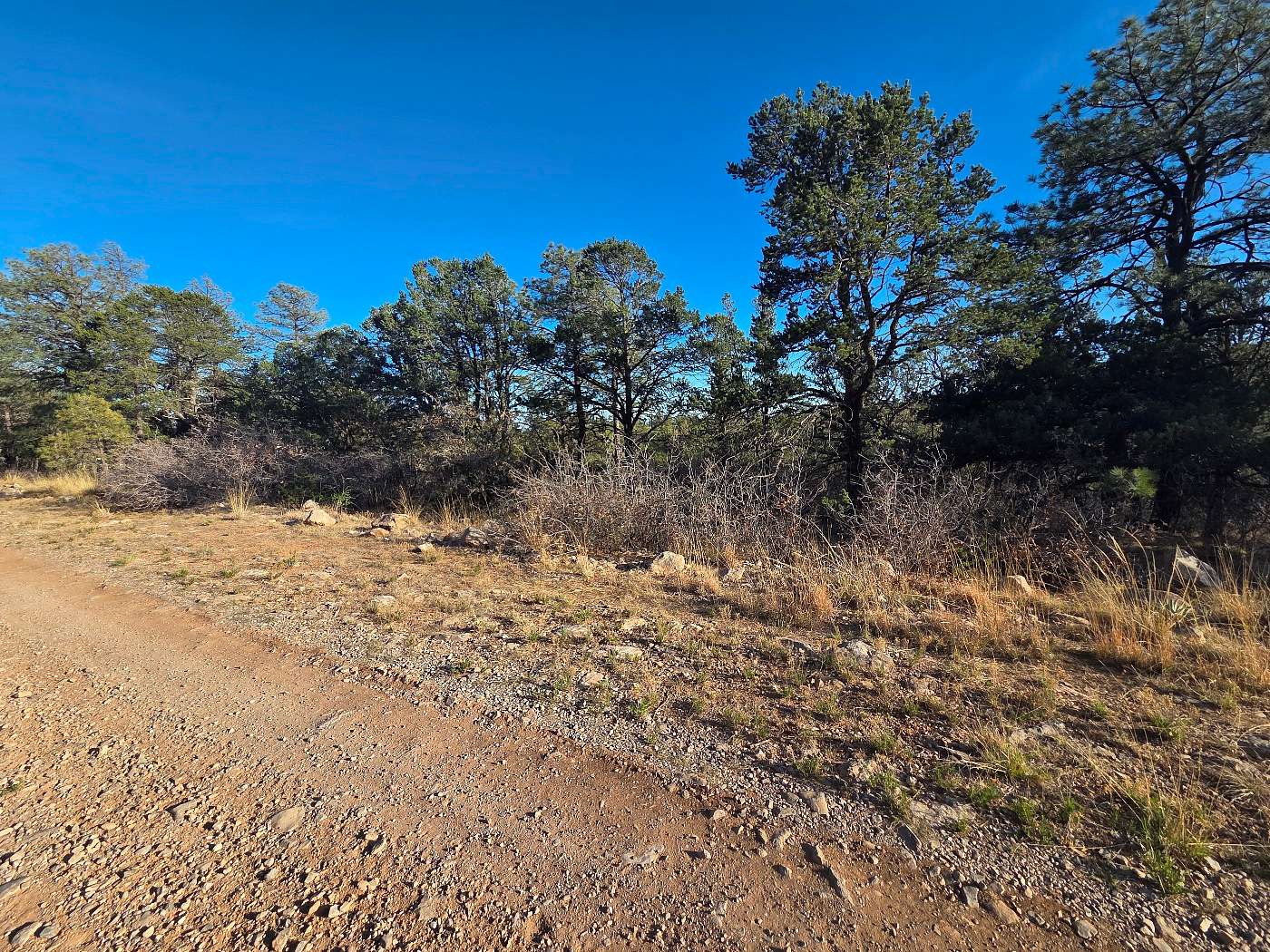 1 Acre of Residential Land for Sale in Timberon, New Mexico
