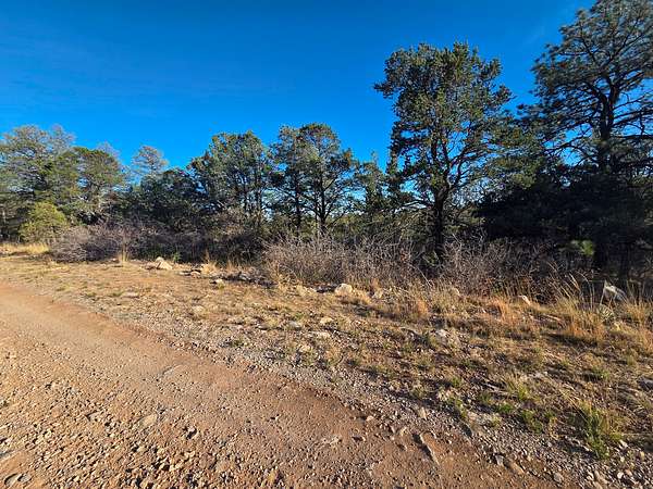 1 Acre of Residential Land for Sale in Timberon, New Mexico