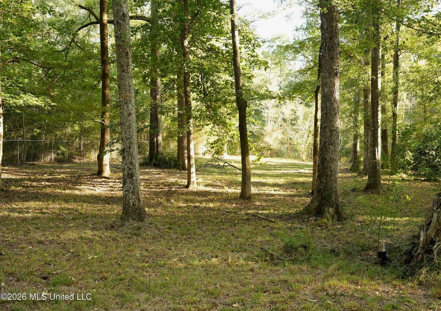 3.5 Acres of Land for Sale in Summit, Mississippi