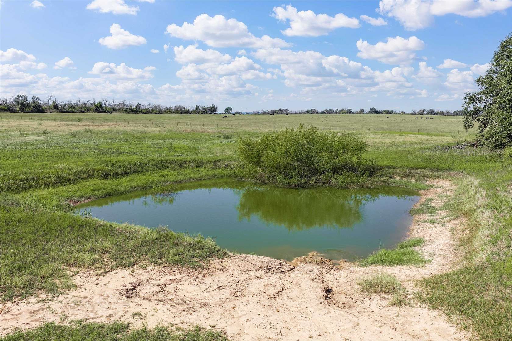 30.3 Acres of Improved Land for Sale in Eastland, Texas