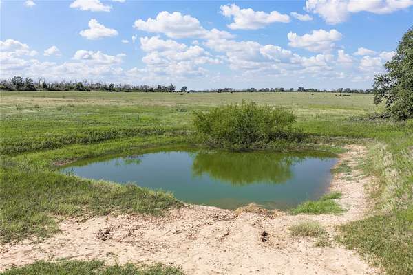 30.3 Acres of Improved Land for Sale in Eastland, Texas