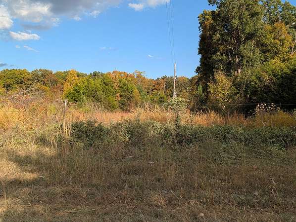 41.5 Acres of Recreational Land for Sale in Fordland, Missouri