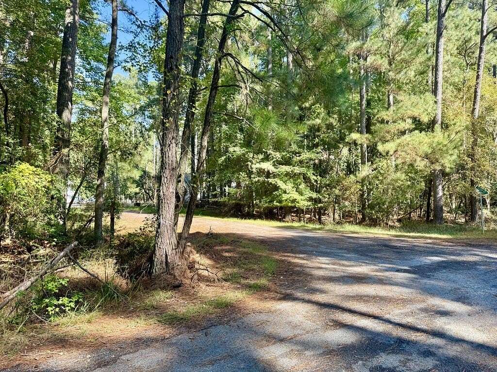 0.29 Acres of Residential Land for Sale in Greenbackville, Virginia