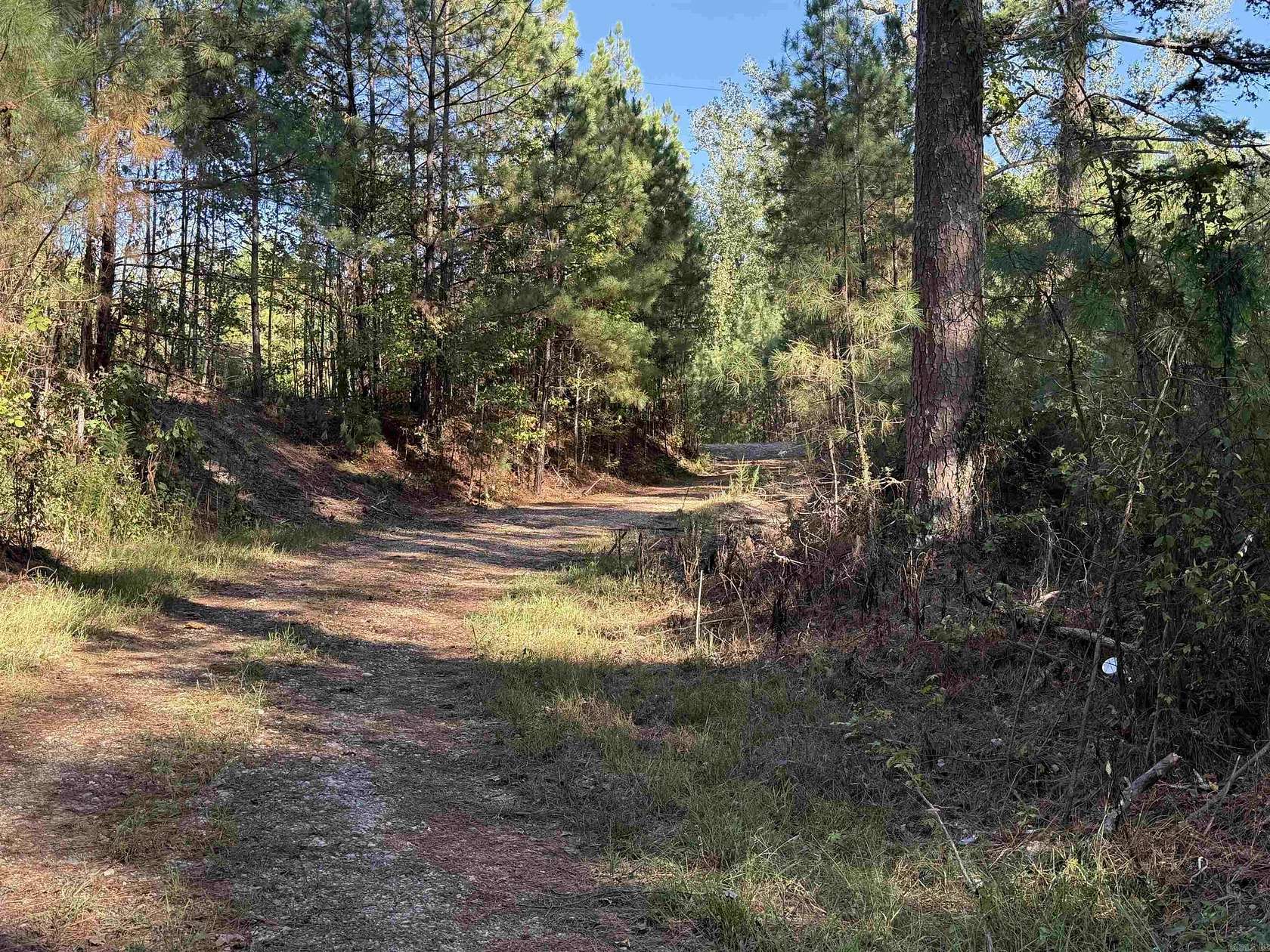 46.5 Acres of Recreational & Residential Land for Sale in Arkadelphia, Arkansas