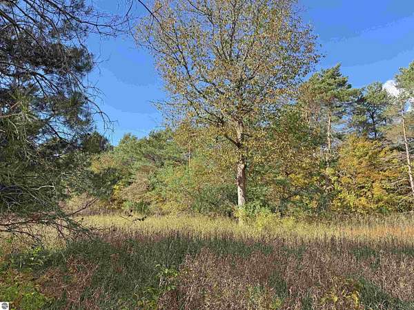 1 Acre of Residential Land for Sale in Beulah, Michigan