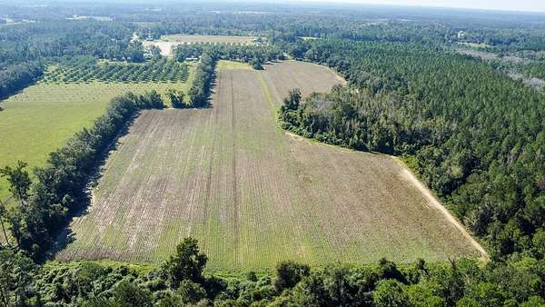 52 Acres of Agricultural Land for Sale in Hahira, Georgia