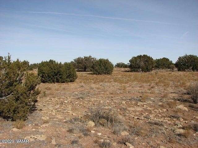 10 Acres of Residential Land for Sale in Heber, Arizona