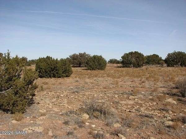 10 Acres of Residential Land for Sale in Heber, Arizona