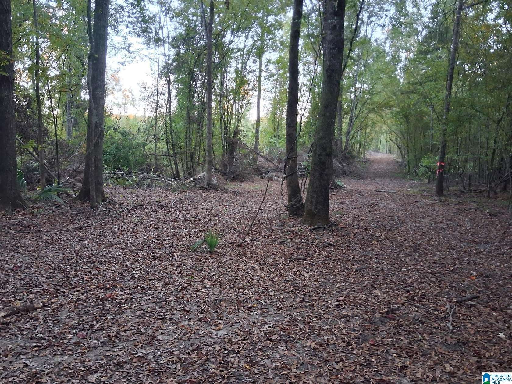 9.8 Acres of Residential Land for Sale in Ohatchee, Alabama
