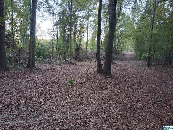 9.8 Acres of Residential Land for Sale in Ohatchee, Alabama