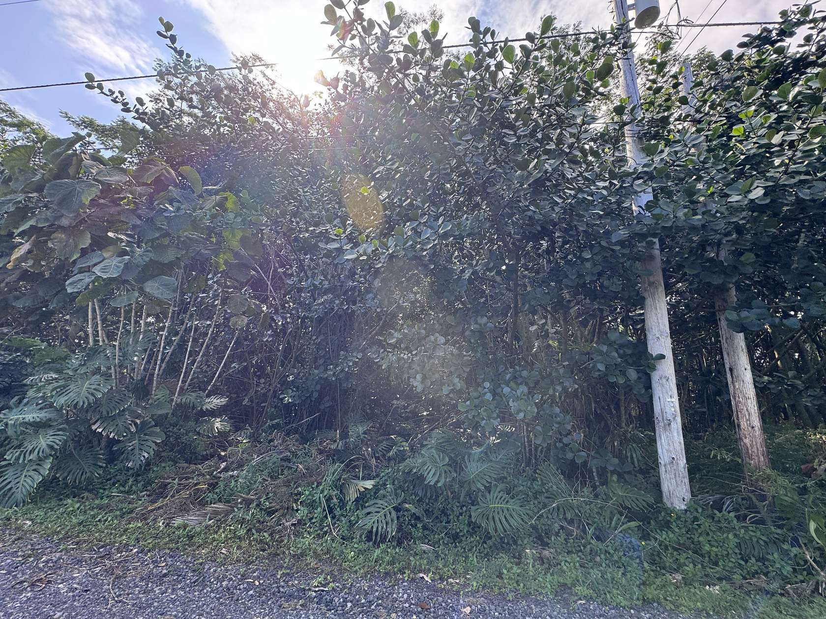 1 Acre of Land for Sale in Keaau, Hawaii