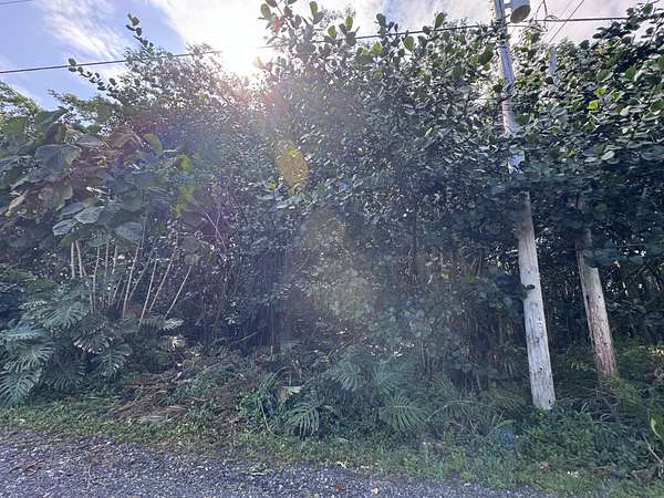 1 Acre of Land for Sale in Keaau, Hawaii