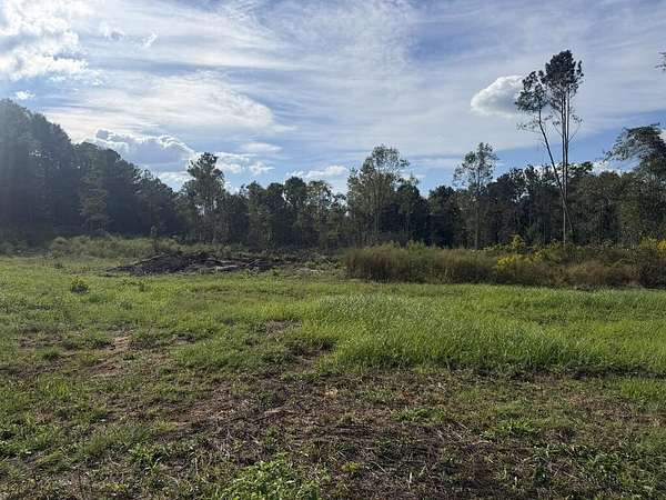 5 Acres of Land for Sale in Brundidge, Alabama