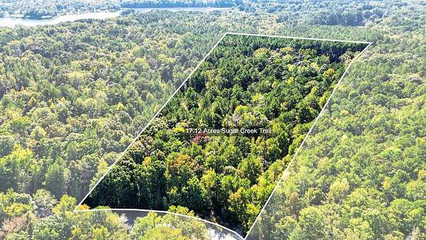 17.1 Acres of Recreational & Residential Land for Sale in Buckhead, Georgia